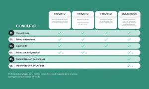 Tabla compara conceptos de finiquito y liquidación. ¿Cuánto tiempo tengo para reclamar un finiquito? La tabla no especifica plazos.