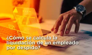 Calculando la liquidación de un empleado por despido. Manos sobre calculadora y laptop con gráficos.