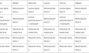 Esquema oposiciones: horario semanal de estudio con lectura, memorización y resúmenes de temas, incluyendo descansos.