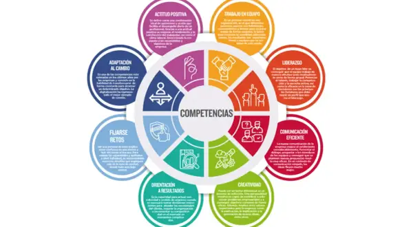 Círculo de competencias: Adaptación al cambio, fijarse retos, orientación a resultados, creatividad, comunicación eficiente, liderazgo, trabajo en equipo y actitud positiva. Cualidades de un buen trabajador.