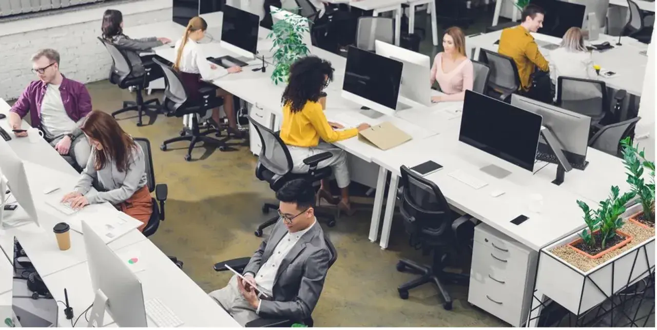 Personas trabajando en oficinas modernas, ejemplos de trabajos sedentarios.