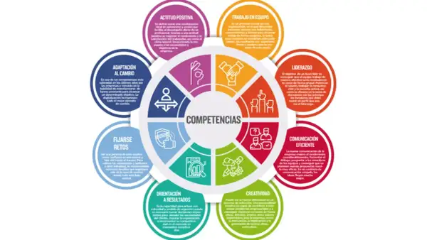 Círculo de competencias: Adaptación al cambio, fijarse retos, orientación a resultados, creatividad, comunicación eficiente, liderazgo, trabajo en equipo y actitud positiva. Cualidades de un buen trabajador.